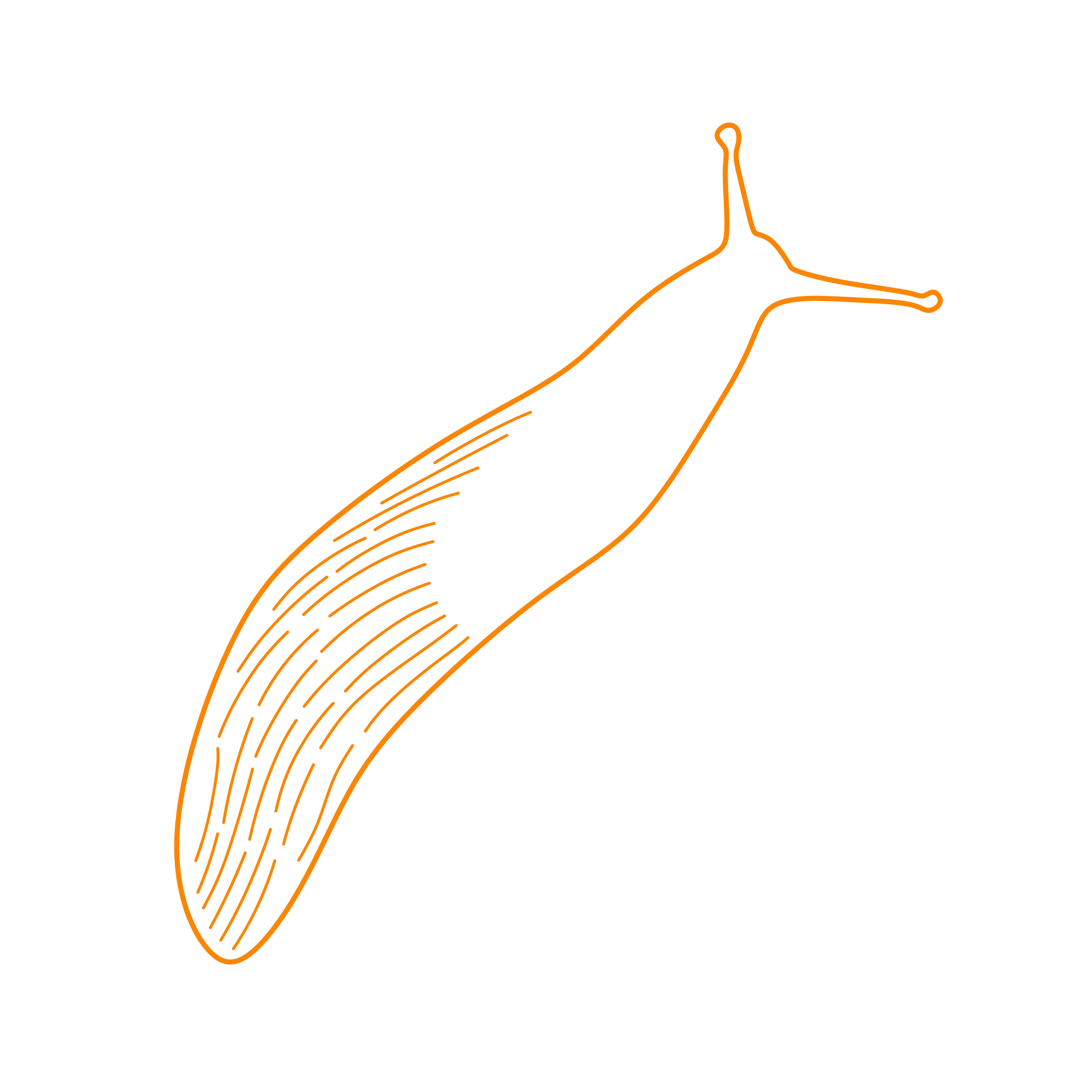 Animals Gastropods Black Slug Outline Drawing Svg Vector Free Vectors